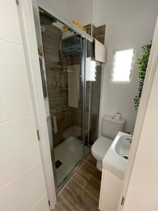 Апартаменти Atico Duplex Con Terraza En Pleno Centro De Jerez Херес-де-ла-Фронтера Екстер'єр фото